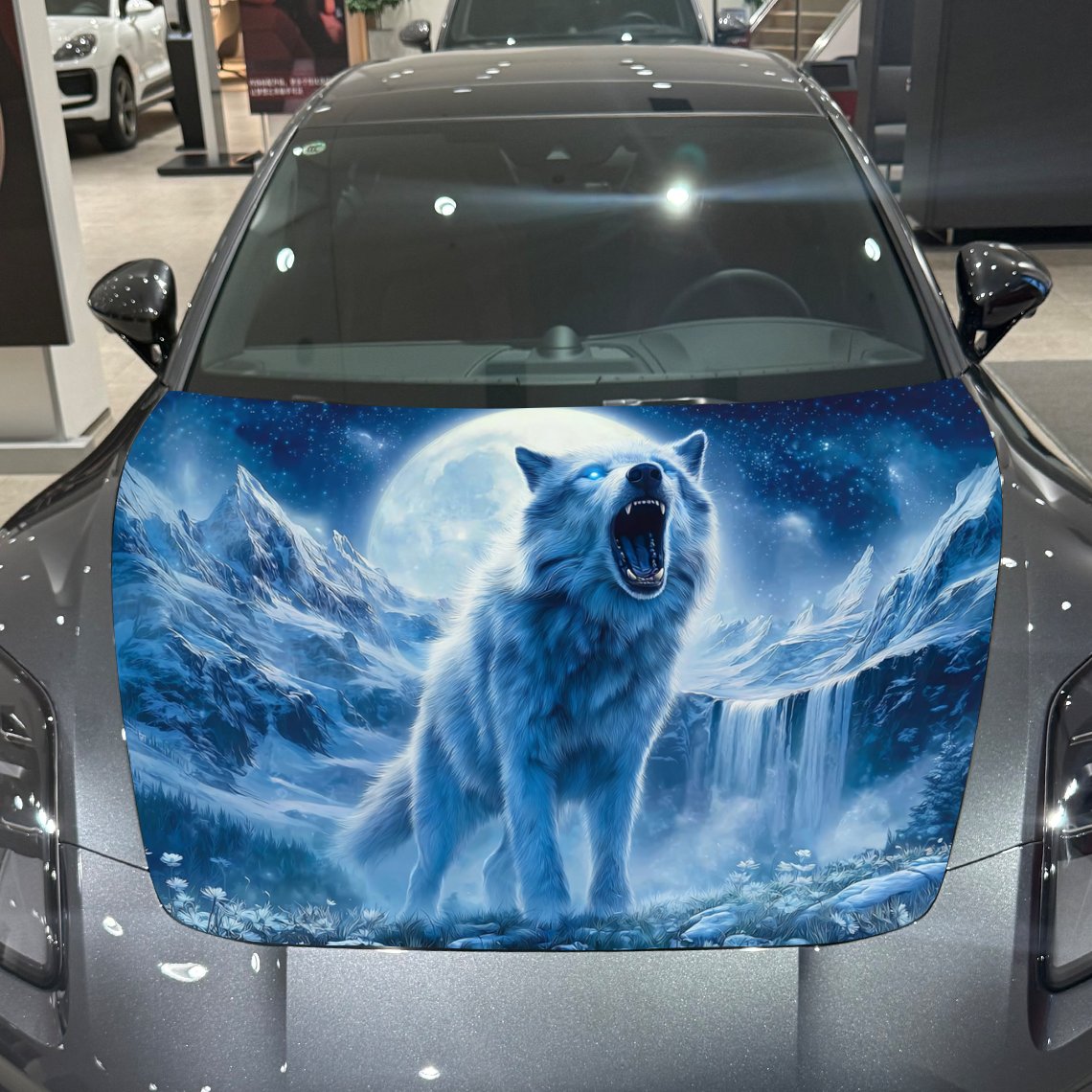 الشتاء الجبل ليلة المشهد الذئب - مراجعة Car Accessories For Winter وسعره